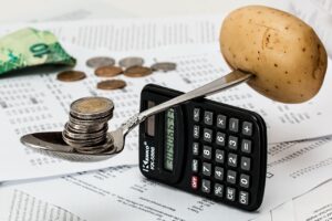 WordPress costi nascosti budget money calculator
