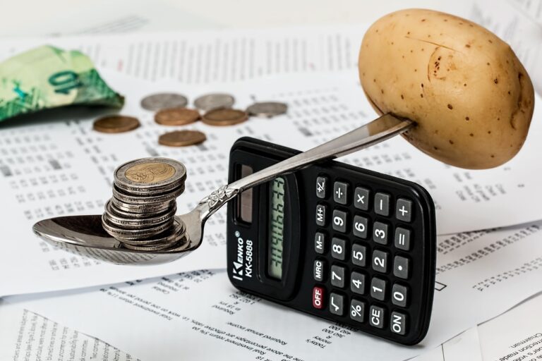 WordPress costi nascosti budget money calculator