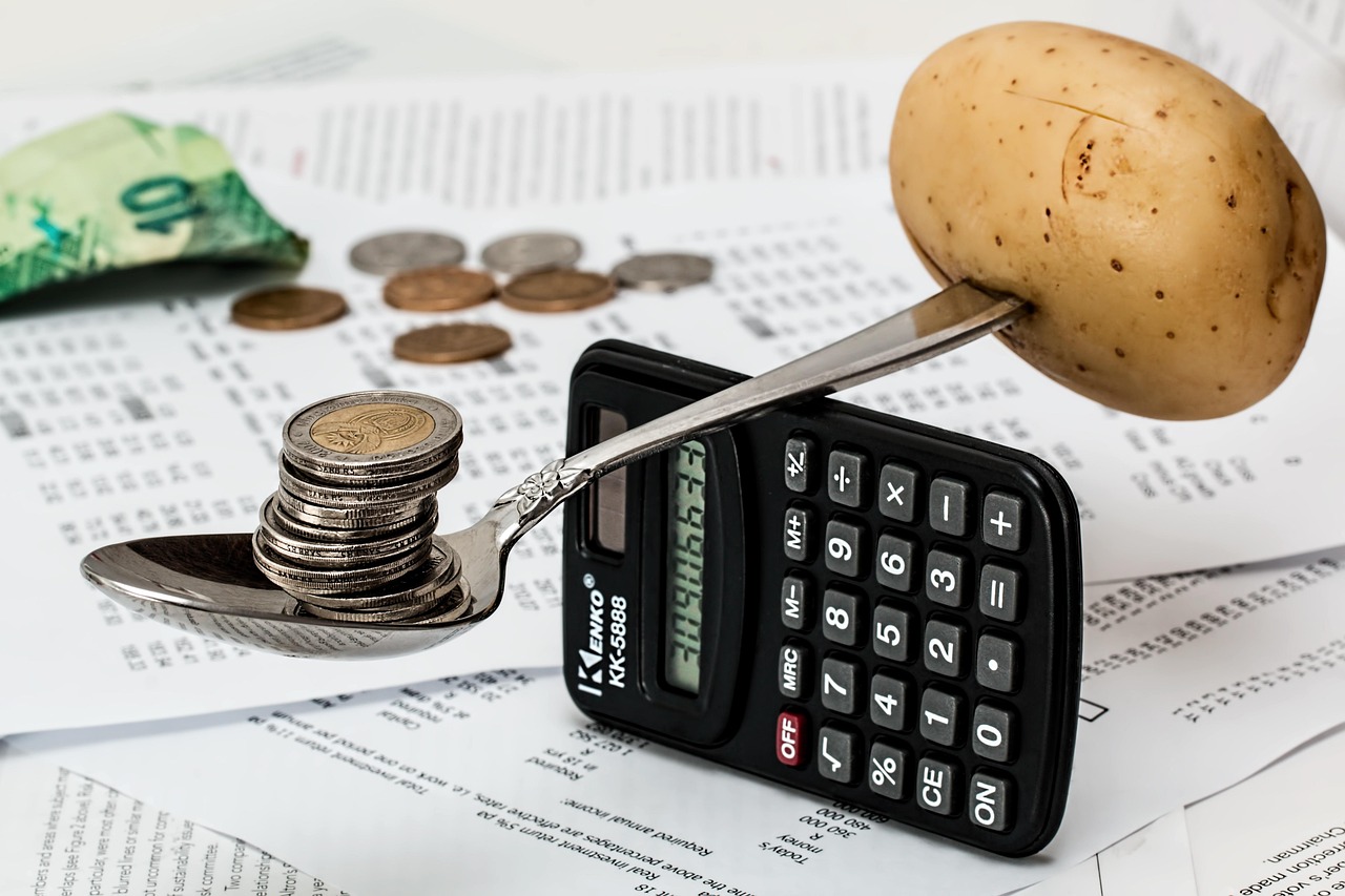 WordPress costi nascosti budget money calculator