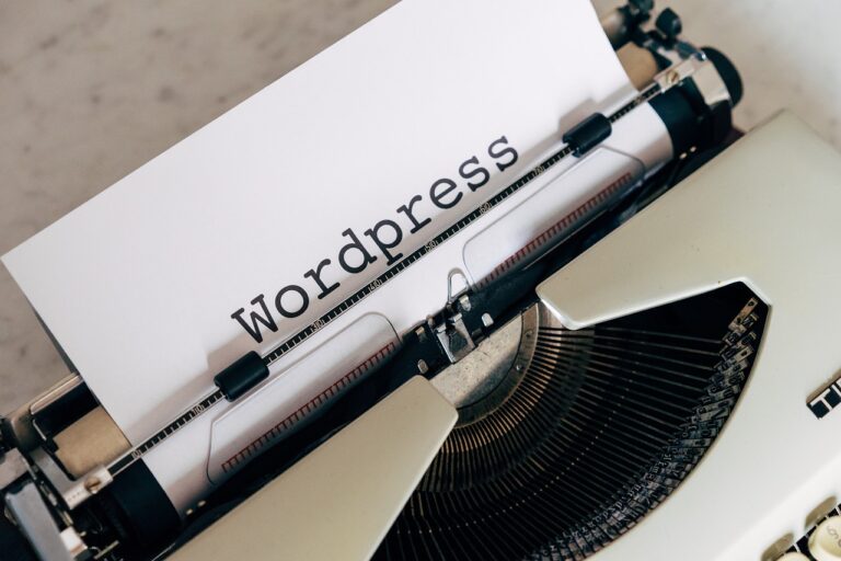 plugin WordPress che rallentano il sito