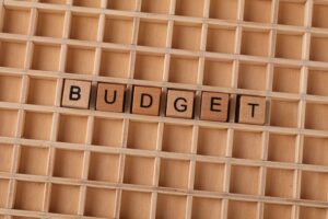 plugin WordPress costi nascosti budget