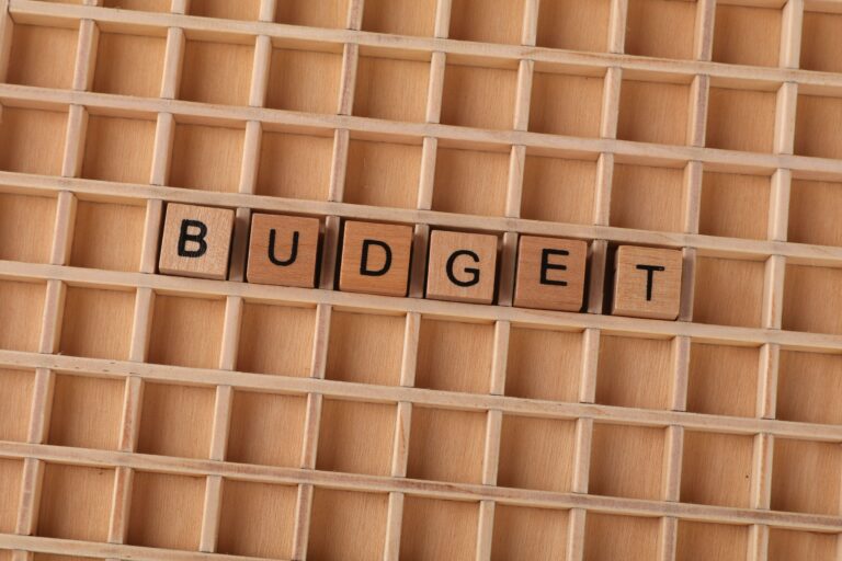 plugin WordPress costi nascosti budget