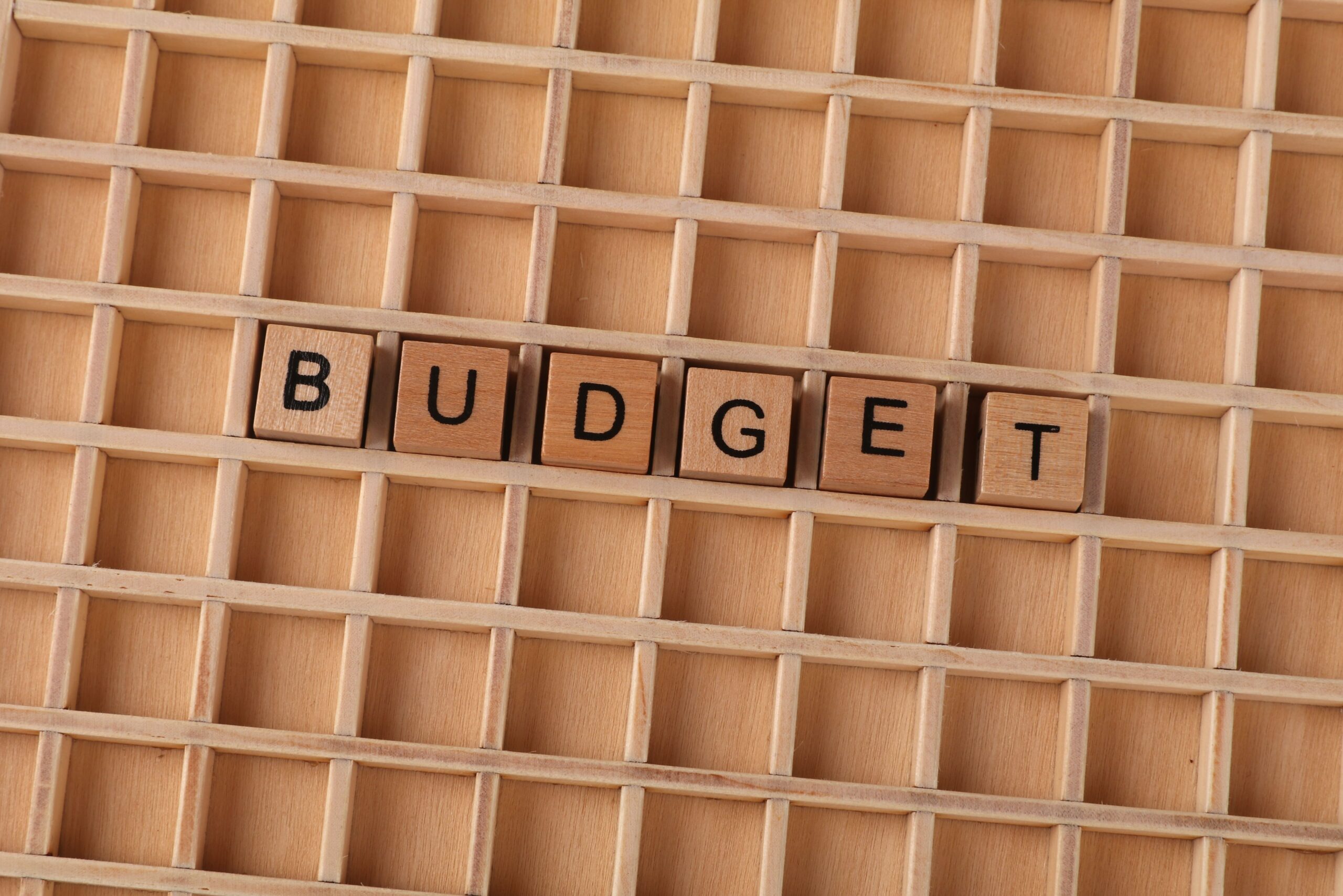 plugin WordPress costi nascosti budget
